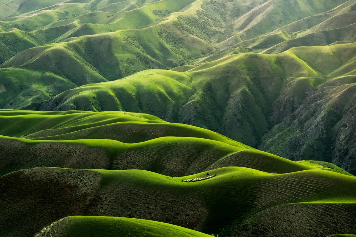 Golden Gate Highlands National Park
